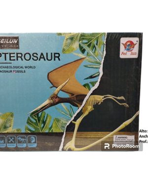 Set Paleontólogo